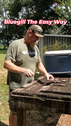 332K views · 1.3K reactions | Clean a BLUEGILL #cooking #easyrecipe #outdoors #seafoodlover #deliciousfood #foryourpage #foryoupagereels #recipe #fish | Stompin Dirt | Facebook