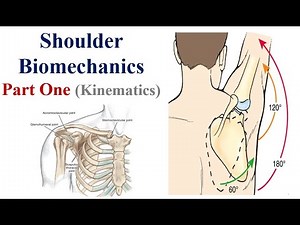 Shoulder Biomechanics (Osteology, Arthrology, and Kinematics; Scapulohumeral Rhythm)