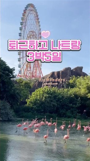 🇻🇳연차 두개쓰고 나트랑 3박5일!ㅣ나트랑 3박5일 여행코스