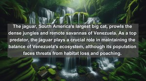 Top 10 native animals in Venezuela