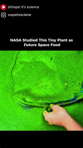 NASA Studied This Tiny Plant as Future Space Food?! #sciencefacts #science #mindblowing #viralvideo