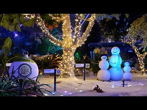 EPCOT Living with the Land 2022 Christmas Overlay Full Ride POV in 4K | Walt Disney World Christmas