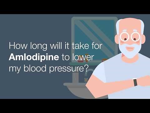 How long will it take for Amlodipine to lower my blood pressure?