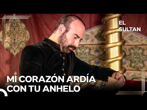 Ni Mi Noche Es Noche, Ni Mi Día Es Día | El Sultán Capitulo 11