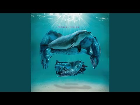 Chunga's Revenge (Live At Wembley Arena, London,UK/1988)