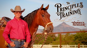 A few years ago I was approached by Farm and Ranch TV here in the US to do a TV show. Over the years I have noticed that every bit of advice I've been given, or seen others give, seems to fall under several broad categories, or principles, so when given the chance to do a TV show, I was excited to document these things I'd observed. I called it The Principles Of Training and the show opened with a quote from early 20th century efficiency expert Harrington Emerson. "Techniques, there may be a mil