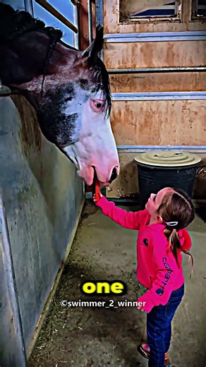 This Little Girl Feeds Her Horse 😍🐴