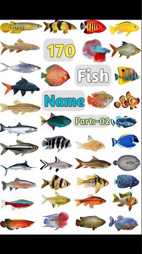 170 Fish Name :- 02 #fishname #fishnames #fish #100fish #nameoffish #fishes