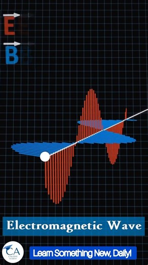 Electromagnetic Waves Visualization