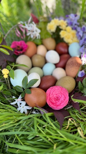 5.1K views · 146 reactions | Nature Art . When we slow down and...