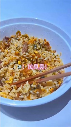 胖胖调皮的很，看我怎么整治它~#小鸟互动 #搞笑 #pets #birds #parrot #animals #cute #funny #治愈#shorts