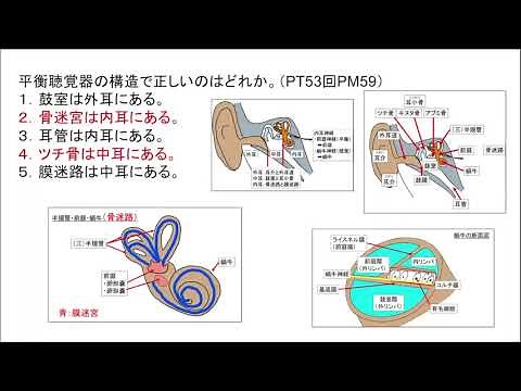 【聴覚の国試解説 耳の解剖・生理学（内耳神経・蝸牛・前庭・半規管）理学療法士国家試験・作業療法士国家試験の解説】PT・OT・ST ＃理学療法士 ＃作業療法士 ＃国試