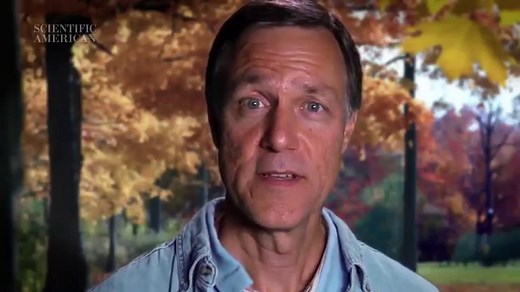 Why Do Autumn Leaves Change Color?