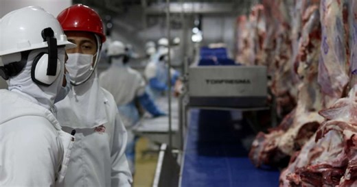 Brasil bate recorde de exportação de carne bovina e de frango em 2024