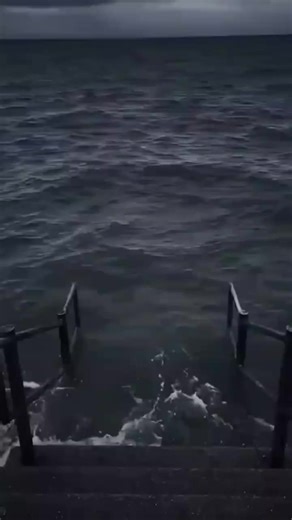 no google Mark🤳 (@nogooglemark4)’s videos with original sound - no google Mark🤳