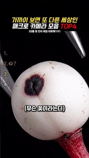 역대급 매크로 카메라 모음 TOP4