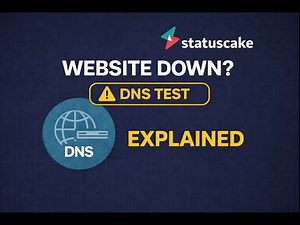 DNS Uptime Test Explained: Monitor Domain Resolution with StatusCake Beginner Guide