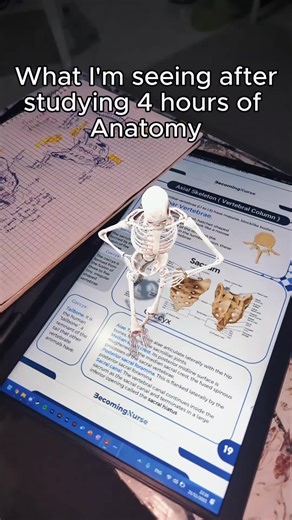 Simplify Your Anatomy Studies with Our Study Bundle
