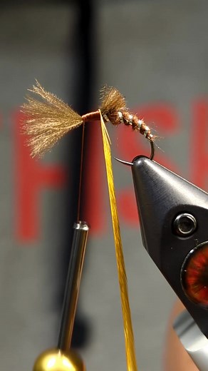 There's nothing quite better than an emerger take! This Dirty Emerger checks all the boxes and is sure to land you some fish. RECIPE: HOOK: Size 14 emerger hook THREAD: 70D in colour rusty brown TAIL: Pheasant Tail RIB: Small rainbow tinsel ABDOMEN: Light Brown Kapok by @semperfli_flytying WING: Brown CDC HACKLE: Ginger #flytying #flytyingtutorial #flytyinginspiration #troutflies #flytyingaddict