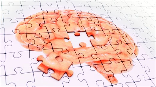 Caption/Credit examples — Harvard Gazette