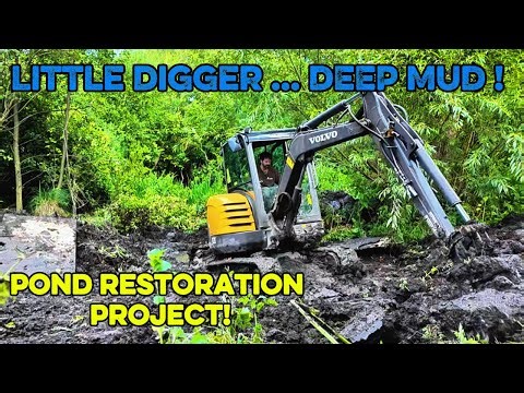 Big Pond Restoration… for a Small Digger! Replacing Suspension Bush Ifor Williams Trailer
