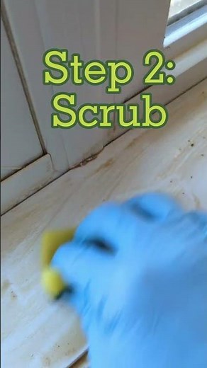 How To Clean Dried Poop on Windsills