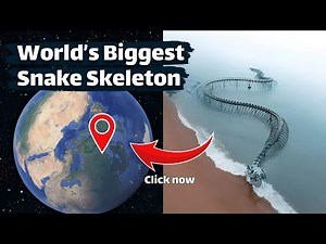 World's Biggest Snake Skeleton 🦴 on Google Maps 🌎 and Google Earth #googleearth #googlestreetview