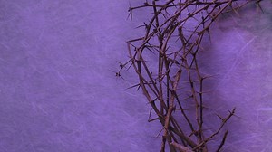 Fr. Bob's Homily - First Sunday in Lent - Franciscan Friars of the Atonement