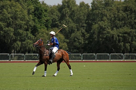 How Big Is A Polo Field? Plus Some Interesting Facts.