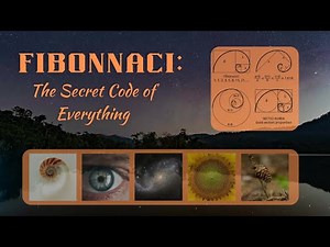 Fibonacci Spiral in Nature Explained | From Sunflowers to Galaxies & Why It Works