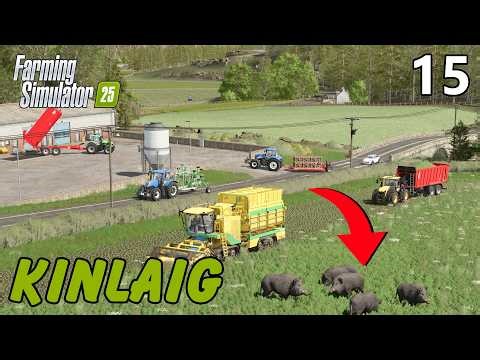 The Wild Boars are Taking Over! 🐗 + Huge Spinach Harvest! Kinlaig Ep.15 #fs25 #farmingsimulator25