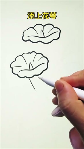 How to Draw Morning Glories with White Clouds