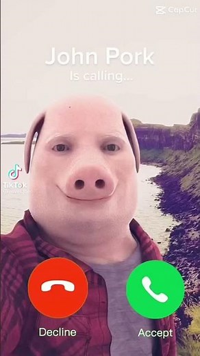 JOHN PORK IS CALLING #fyp #johnpork #johnporkiscalling #memes #johnporkmeme