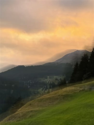 The Baby Boo Meme Extravaganza