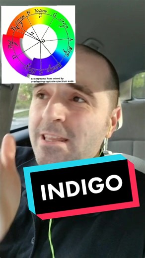 #stitch with @clanderkin Why Indigo needs its own color category. #colortheory #indigo #learnontiktok