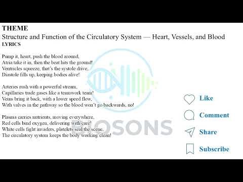 Circulatory System: Heart, Blood Vessels and Blood