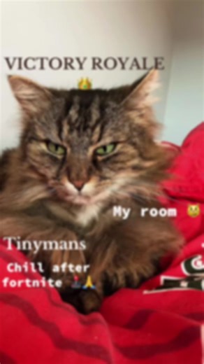 Epic Victory Royale Moments in Fortnite Gameplay