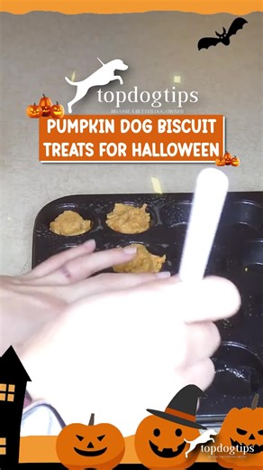  Easy, crunchy, and totally paw-some! This homemade dog biscuit recipe is quick to make, healthy, and guaranteed to get tails wagging. ‍ ️ Watch now + grab the full recipe here: https://topdogtips.com/easy-dog-biscuit-recipe/ #HomemadeDogBiscuits #HealthyDogTreats #EasyDogRecipe #DogMomLife #DogDadLife #TopDogTips | Top Dog Tips | Facebook