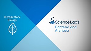 Introductory Biology: Bacteria and Archaea