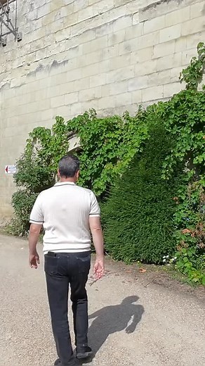 92 reactions | Chateau de Petit-Thouars: Surviving 400 Years of...