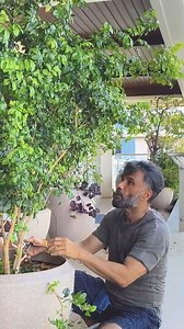 37K views · 10K reactions | Repost: @suniel.shetty Sundays like these = Therapy There’s something magical about pruning – cutting away the dead bits so the rest can thrive. It’s like hitting the reset button, not just for my plants, but for me too. A little trim, a little fresh air, and boom – we’re both ready to grow again. Sometimes, we all need that… trim the old, make space for the new, and let the light in. Who else is pruning life today? | Suniel Shetty F C | Facebook