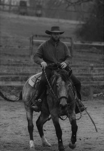 PLEASE TURN YOUR PHONE 📱 Josie has been doing so good in her training. She shows up & gives 💯 everyday!! Contact me via E-mail, DM, or phone for business inquiries 📩 #cowboy #horse #horses #horsesofinstagram #horseriding #cowboylife #horselover #horsetraining #horsetrainer #horserider #horseriding🐴 #horsetransformation #horsemanship #mustangmakeover #horseman #horsephoto #wildhorses #cowboifestyle #horsepower #horse #fyp #foryoupage #for #for #horselife #horsephotographer #horseriders #ilove