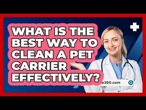 What Is The Best Way To Clean A Pet Carrier Effectively? - PetGuide360.com