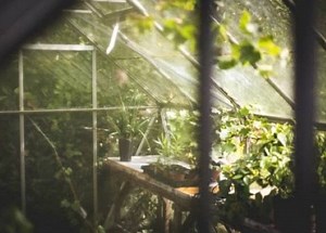 家庭用の小型ビニールハウス・おしゃれなミニ温室おすすめ24選 | AGRI PICK