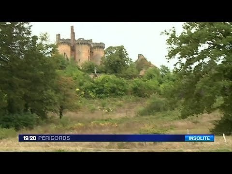 Adoptez un château de Dordogne !