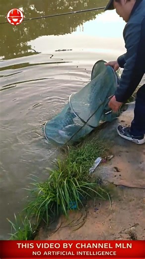 NET EXPLODES 🐟 fish rushing out of the trap #shorts #crafts #skills #fishing #fishtrap