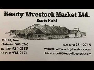 Keady Livestock Market Tues Dec 16th, 2025 @ 9:00 am Last Sale of 2025