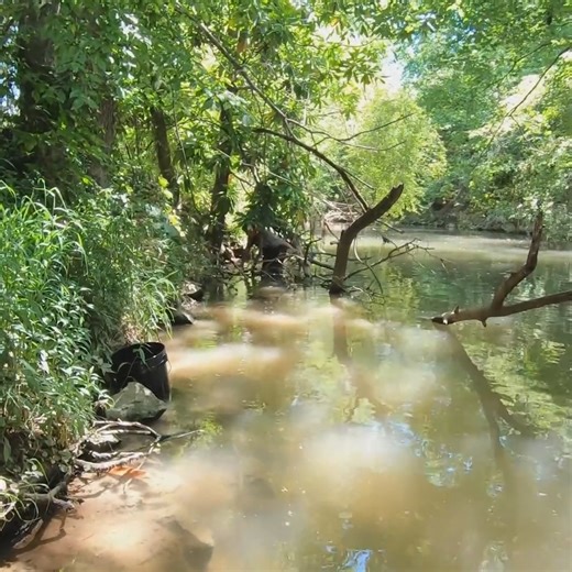 We had to move fast 🤯 #mudlarking #archaeology #metaldetecting | Adventure Archaeology And Southern Diggers