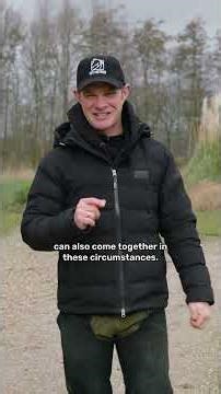 Do you know where your horse's nervous energy is going?