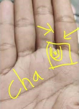 Janiye ek rochak loop ke bare me #palmistry #palmreading